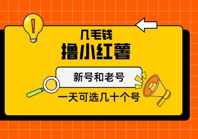 几毛钱撸小红书纯新号和老号，保姆级教程缩略图