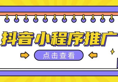 抖音小程序推广项目，单条视频300+，非常适合小白，保姆式教学缩略图