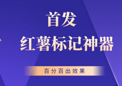 首发全新小红书标记精准用户截流玩法，百分百出效果缩略图