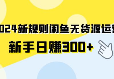 2024新规则闲鱼无货源运营新手日赚300+缩略图