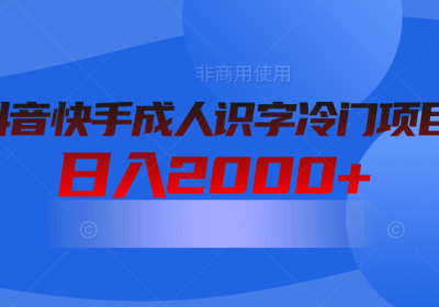 抖音快手成人识字冷门项目日入2000+缩略图