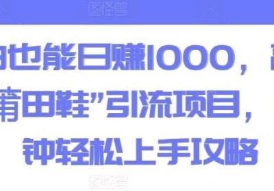 小白也能日赚1000，高复购“莆田鞋”引流项目，一分钟轻松上手攻略缩略图