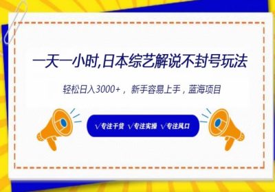 日本综艺解说不封号玩法，轻松日入3000+缩略图