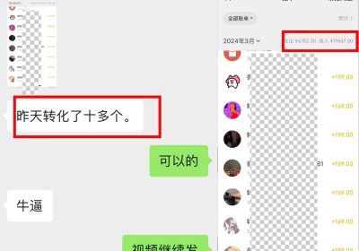 抖音最新引流创业粉+变现保姆式教程 直接无脑套模板即可缩略图