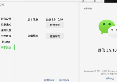 微信Windows版 3.9.10.19 多开&消息防撤回测试版绿色版纯64位缩略图