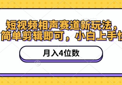 短视频相声赛道新玩法，简单剪辑即可，月入四位数（附软件+素材）缩略图