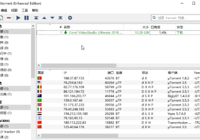 BT下载工具 qBittorrent 4.6.5 Win&Mac 240527最新版+绿色增强版缩略图