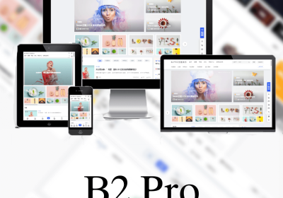 7B2 PRO主题5.4.2免授权直接安装缩略图