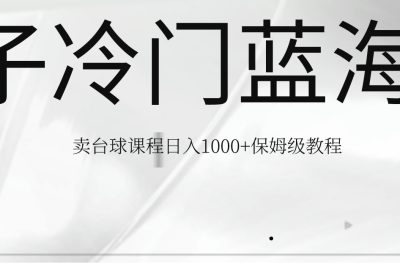 超级蓝海冷门暴利野路子赛道：卖台球课程日入 1000+缩略图