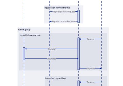 Reverst：基于QUIC协议和HTTP3的反向隧道工具缩略图