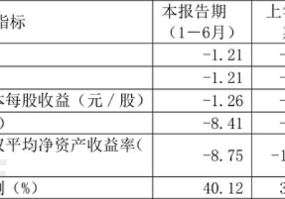 奇安信2024半年报：营收17.83亿，亏损8.2亿缩略图