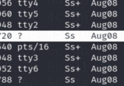 [Meachines] [Easy] valentine SSL心脏滴血+SSH-RSA解密+trp…缩略图