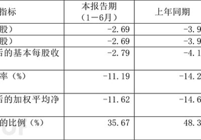 安恒信息2024半年报：营收6.98亿元，亏损2.76亿缩略图