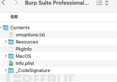 burpsuite Professional v2024.11.1 for mac缩略图