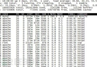 网络日志分析典型案例一：闪现Segmentation Fault为哪般？缩略图