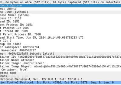 Traceeshark：一款基于Wireshark的Linux运行时安全监控工具缩略图