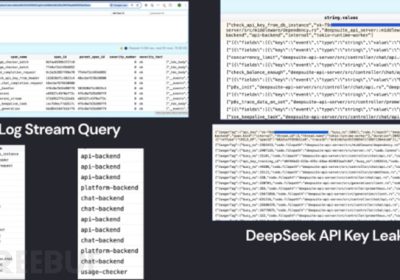 DeepSeek严重的信息泄露漏洞缩略图